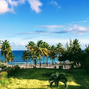  Appartement Les Pieds Dans L'eau Archipel Et Savanne